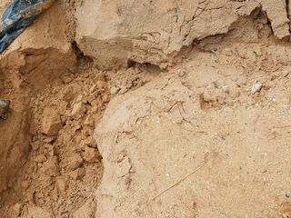 안영란님의 호박 · 자유게시판 작성글 사진