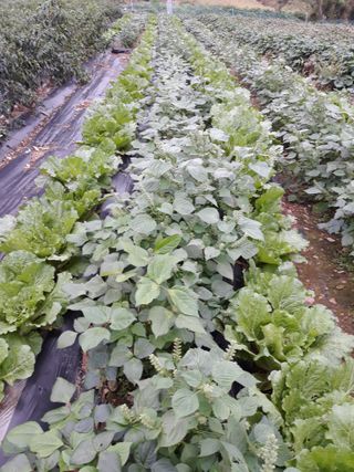 조동원님의 자유주제 · 자유게시판 작성글 사진