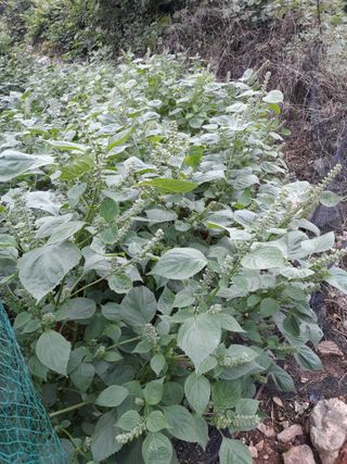 조동원님의 자유주제 · 자유게시판 작성글 사진