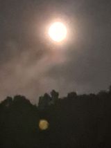 팜모닝 ↑ 윷놀이 하고 추석덕담 하기·참여글 게시글 이미지