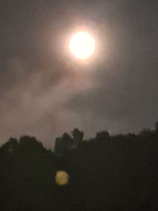 규수김님의 ↑ 윷놀이 하고 추석덕담 하기 · 참여글 작성글 사진