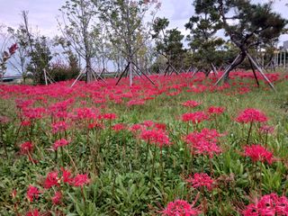 조현길님의 배추 · 일상 작성글 사진