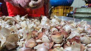 조한솔님의 작성글 사진