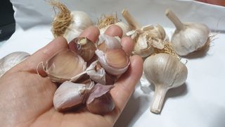 조한솔님의 작성글 사진