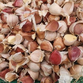 조한솔님의 작성글 사진