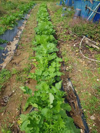 정석구님의 자유주제 · 자유게시판 작성글 사진