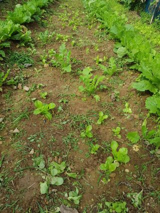 정석구님의 자유주제 · 자유게시판 작성글 사진