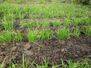 정석구님의 자유주제 · 자유게시판 작성글 사진