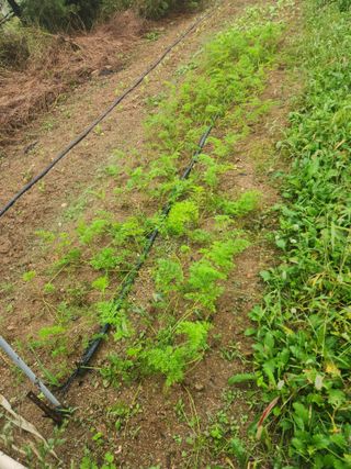이형길님의 자유주제 · 사진전 작성글 사진