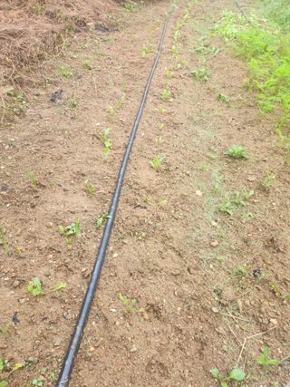 이형길님의 자유주제 · 사진전 작성글 사진