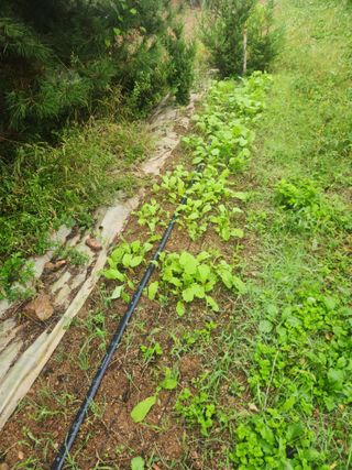 이형길님의 자유주제 · 사진전 작성글 사진