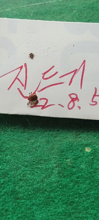 지재광님의 매실 · 자유게시판 작성글 사진