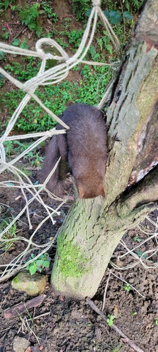 지재광님의 매실 · 자유게시판 작성글 사진