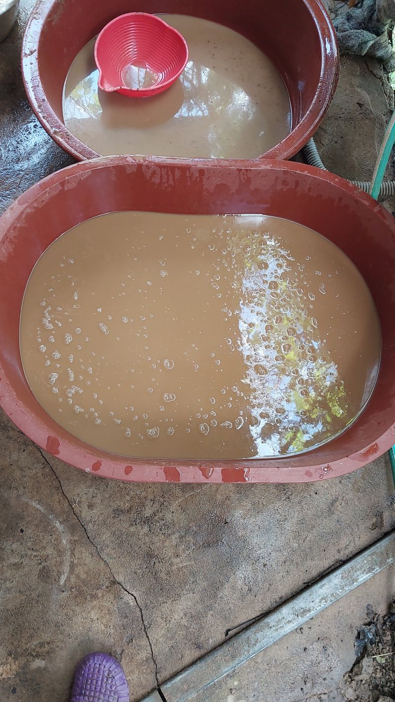 손경식님의 장터 판매 상품 [순백프로  도토리가루1키로] 첨부 사진