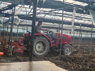 준영농장 출석왕.님의 기타작물 · 영농일지 작성글 사진