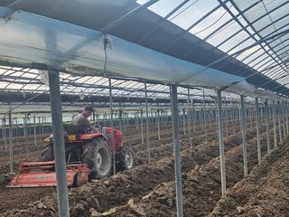 준영농장 출석왕.님의 기타작물 · 영농일지 작성글 사진