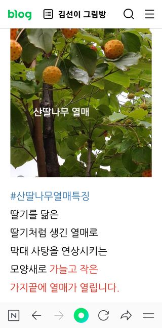 금동이네님의 기타작물 · 자유게시판 작성글 사진