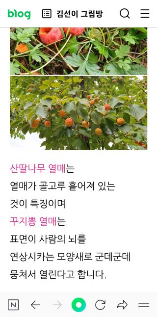 금동이네님의 기타작물 · 자유게시판 작성글 사진