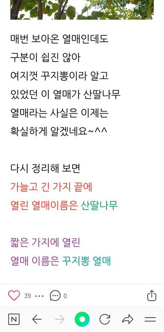 금동이네님의 기타작물 · 자유게시판 작성글 사진