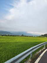 팜모닝 ↑ 윷놀이 하고 추석덕담 하기·참여글 게시글 이미지