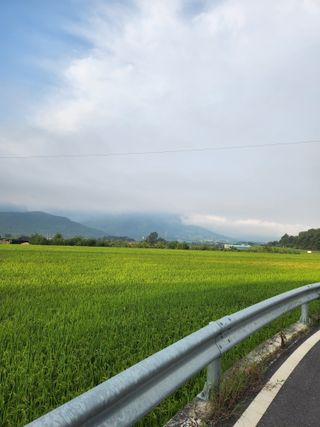 이희상님의 ↑ 윷놀이 하고 추석덕담 하기 · 참여글 작성글 사진