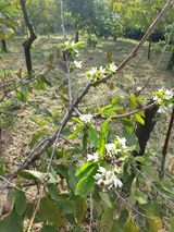 팜모닝 기타작물·자유게시판 게시글 이미지