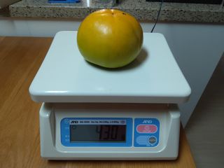 용용농도님의 감 · 자유게시판 작성글 사진