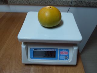 용용농도님의 감 · 자유게시판 작성글 사진