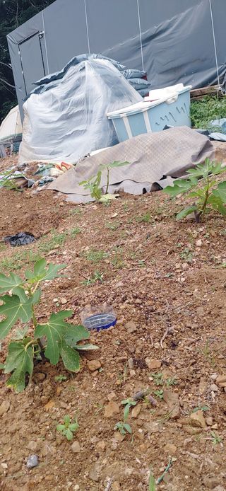 임채은님의 작성글 사진