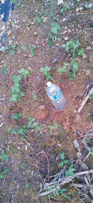 임채은님의 작성글 사진