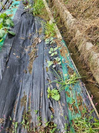 백호순(후추)님의 자유주제 · 자유게시판 작성글 사진