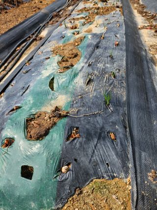 백호순(후추)님의 자유주제 · 자유게시판 작성글 사진