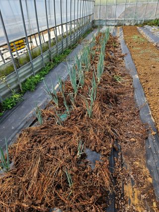 백호순(후추)님의 자유주제 · 자유게시판 작성글 사진