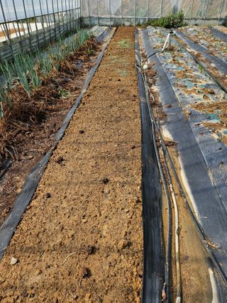 백호순(후추)님의 자유주제 · 자유게시판 작성글 사진