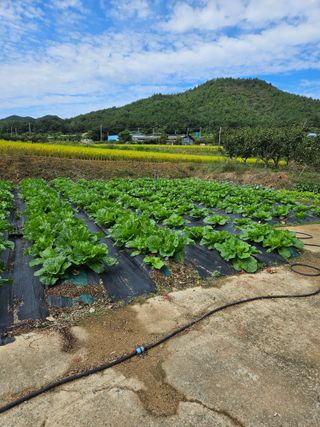 백호순(후추)님의 자유주제 · 자유게시판 작성글 사진