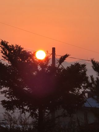 호박16474님의 ↑ 윷놀이 하고 추석덕담 하기 · 참여글 작성글 사진