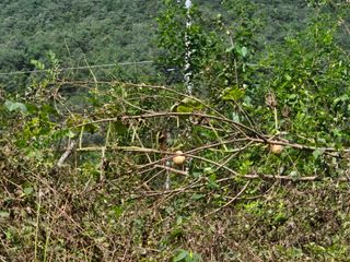 김윤숙님의 자유주제 · 자유게시판 작성글 사진