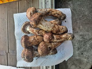 백작약님의 작성글 사진