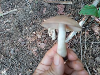 김경수님의 기타작물 · 자유게시판 작성글 사진