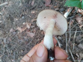 김경수님의 기타작물 · 자유게시판 작성글 사진