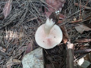 김경수님의 기타작물 · 자유게시판 작성글 사진