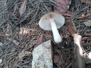 김경수님의 기타작물 · 자유게시판 작성글 사진