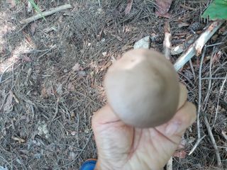 김경수님의 기타작물 · 자유게시판 작성글 사진