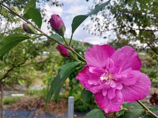 금동이네님의 기타작물 · 자유게시판 작성글 사진