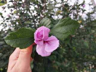 금동이네님의 기타작물 · 자유게시판 작성글 사진