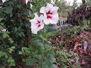 금동이네님의 기타작물 · 자유게시판 작성글 사진