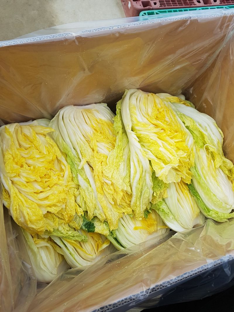 안나영님의 장터 판매 상품 [절임배추 20kg] 첨부 사진