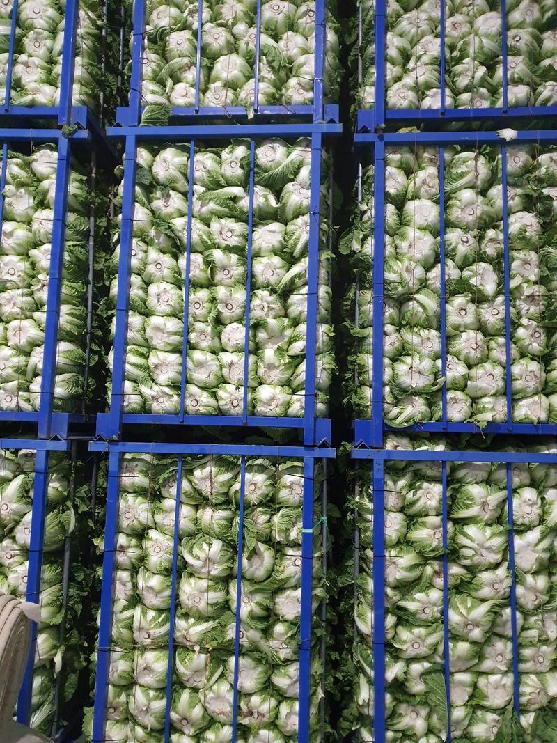 안나영님의 장터 판매 상품 [절임배추 20kg] 첨부 사진