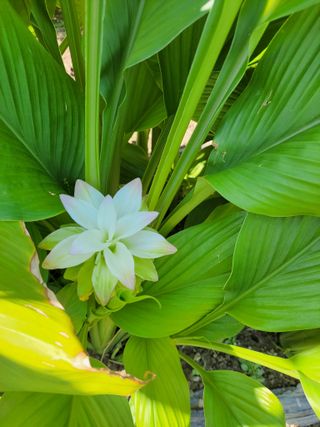 이영철님의 기타작물 · 자유게시판 작성글 사진