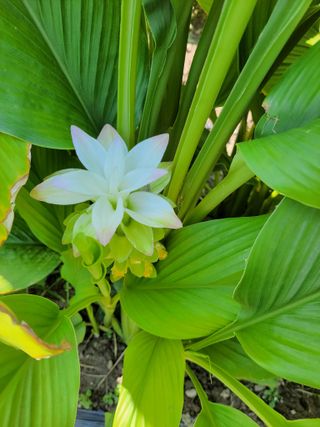 이영철님의 기타작물 · 자유게시판 작성글 사진